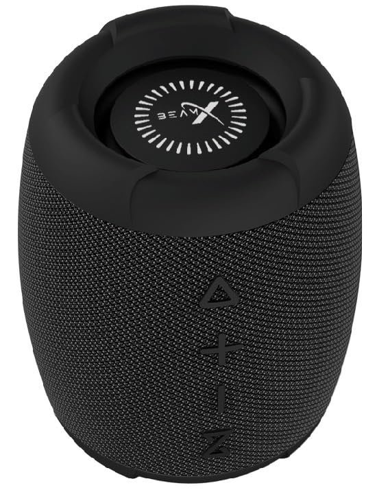 BeamX RoarX portable Bluetooth speaker